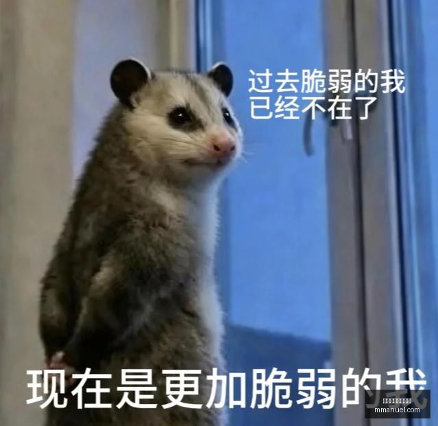 东盟锦标赛,深度解析,狮城水手与,买球错误,投注避坑,买球心态管理,体育博彩误区